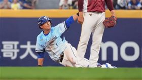 富邦悍將林哲瑄。（圖／富邦悍將提供） 