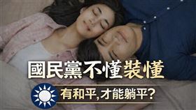 有粉專怒轟國民黨的影片是在不懂裝懂。（圖／粉專《台派好派》）