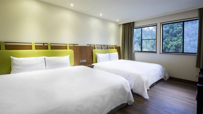 溪頭福華大學樓客房旁即享森林窗景。（圖／飯店旅宿業者提供）