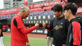 「阿公」古久保健二賽前和樂天桃猿總教練曾豪駒打招呼。（圖／味全龍提供） 