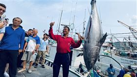黑鮪魚,第一鮪,東港,拍賣