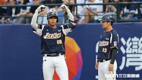 中職37年例行賽，中信兄弟三壘手黃韋盛敲出安打上壘。（圖／記者劉彥池攝影）