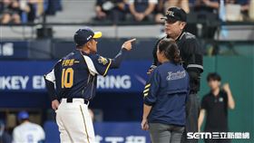 中職37年例行賽，中信兄弟總教練平野惠一上場抗議好球帶。（圖／記者劉彥池攝影）