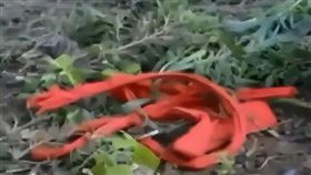 （圖／翻攝自遼寧衛視）