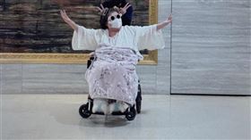 陳文茜於醫院拍照。（圖／翻攝自文茜的世界周報 Sisy's World News臉書）