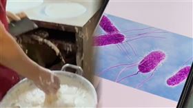 衛生局,沙門氏菌D組,春捲,陳其邁,衛生局,地檢署,蛋製品,來源,患者,正義市場,中毒（圖／翻攝畫面）