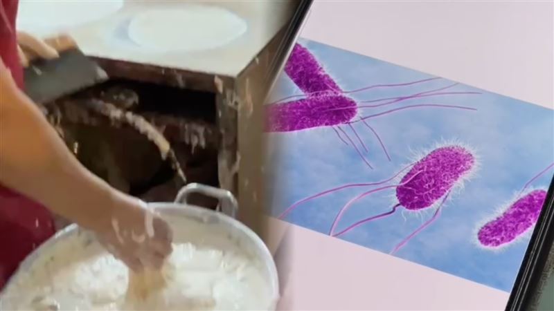 新/毒春捲擴大…增至157人!元兇菌曝光