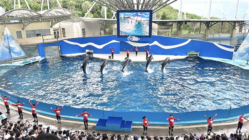海洋公園海豚秀落幕 「跳浪奇緣」成回憶