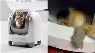 上萬元自動貓砂盆故障　愛貓卡12小時慘死