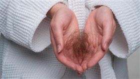 想告別產後、壓力掉髮危機！中醫推薦「4」大食物助髮絲強韌。（圖／醫健新聞網提供） 