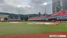 天母棒球場龍猿之戰確定延賽。（圖／記者戴以柔攝影）