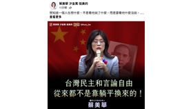  批國民黨「躺平論」　蔡美華：忽略中國軍事威脅、矮化台灣社會（業配勿用）