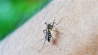 騎車遭蚊子襲擊！男揉眼視力慘剩0.04