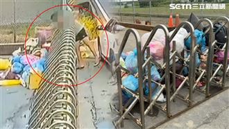 人性醜態畫面曝！垃圾「甩拋堵死」清潔隊