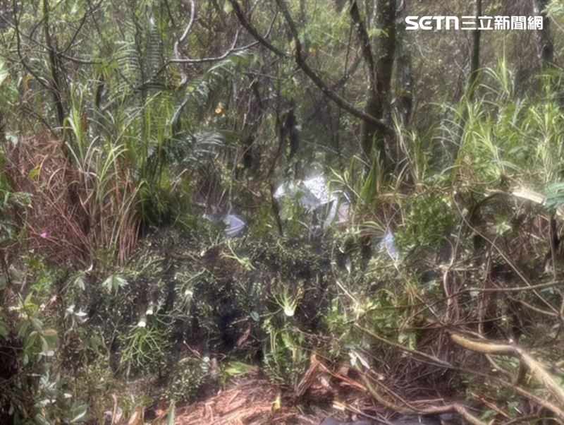 男疑似為了閃避路面上的樹枝,車輛不慎駛離路面 。由於該產業道路並未設置護欄,小貨車隨即翻落至一旁的邊坡樹林中 。(圖/翻攝畫面)