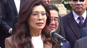 國民黨主席鄭麗文中山陵前談話（圖／翻攝畫面）