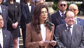 國民黨主席鄭麗文中山陵前談話（圖／翻攝畫面）