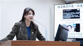 林楚茵質詢國安局長蔡明彥。（圖／林楚茵辦公室提供） 