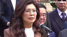 國民黨主席鄭麗文中山陵前談話（圖／翻攝畫面）