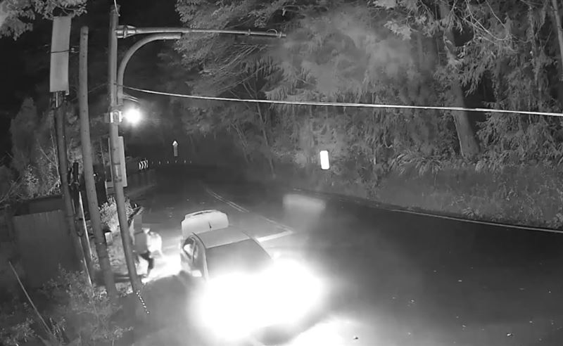 山老鼠利用深夜山區無人，將盜伐的台灣扁柏悄悄運下山。(圖／翻攝畫面)