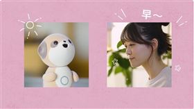 Poketomo是一款以「情緒陪伴、長期記憶、日常互動」為核心打造的AI陪伴機器人。（圖／翻攝自台灣夏普SHARP TW YouTube頻道）