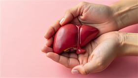 有脂肪肝怎麼辦？脂肪肝「5徵兆」不輕忽 醫提醒：掌握「3關鍵」可望逆轉脂肪肝！（圖／醫健新聞網提供） 