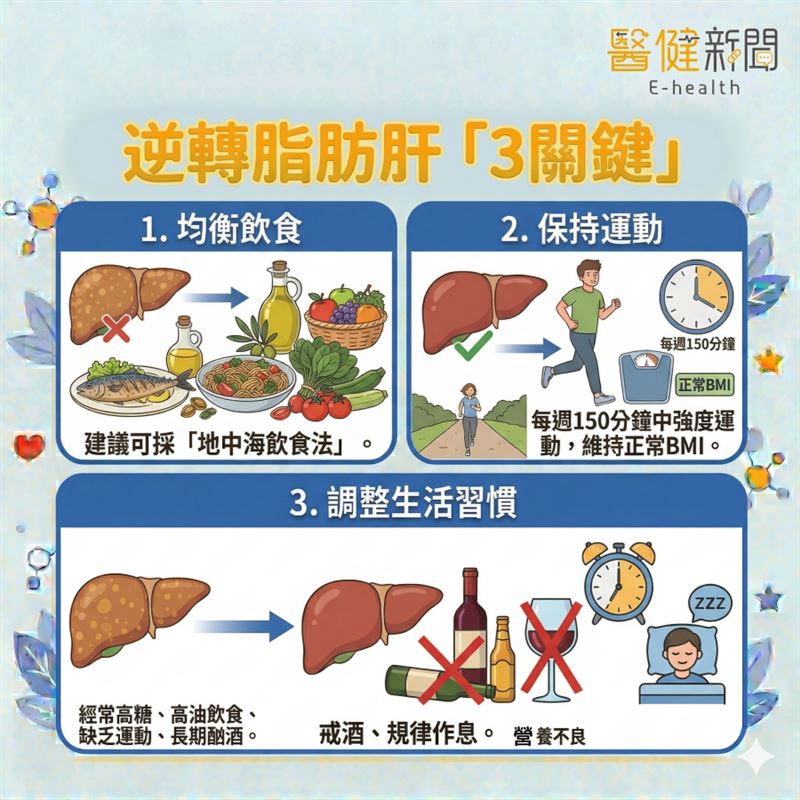 有脂肪肝怎麼辦？醫提醒：掌握「3關鍵」可望逆轉脂肪肝！（圖／醫健新聞網提供）