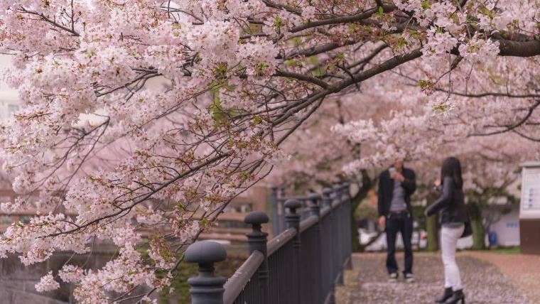 日本1夯地每晚住宿破4千!他嚇:學墾丁?
