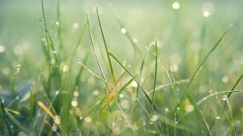 20日迎穀雨節氣!命理師5招防小人穩事業