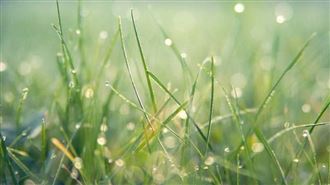 20日迎穀雨節氣！命理師5招防小人穩事業