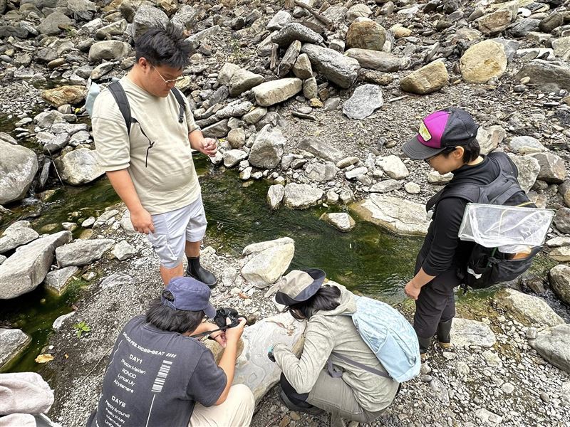 河溪小組持續溪流關注與紀錄，荒野保護協會河溪小組拍攝。（圖／荒野保護協會提供）