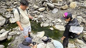 河溪小組持續溪流關注與紀錄，荒野保護協會河溪小組拍攝。（圖／荒野保護協會提供） 