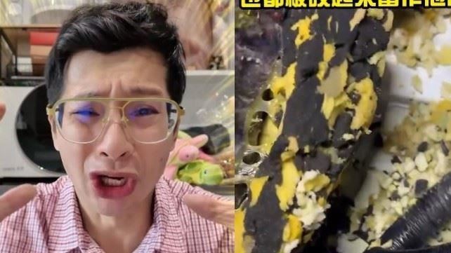 愛車被老鼠當家藏餅乾 逸祥痛喊提告求償