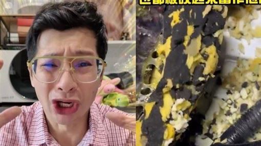 愛車被老鼠當家藏餅乾　逸祥痛喊提告求償