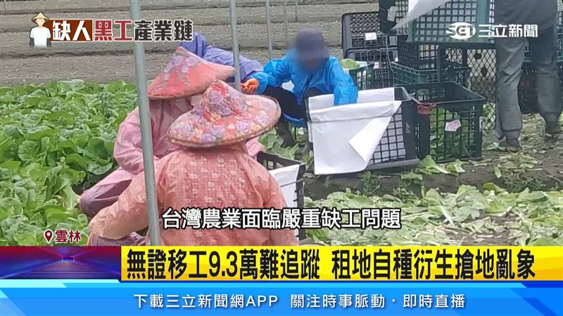 無證移工9.3萬難追蹤 租地自種衍搶地亂象