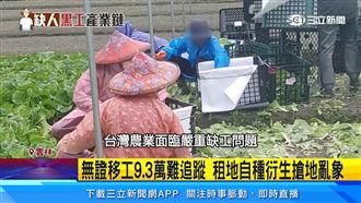 無證移工9.3萬難追蹤 租地自種衍搶地亂象