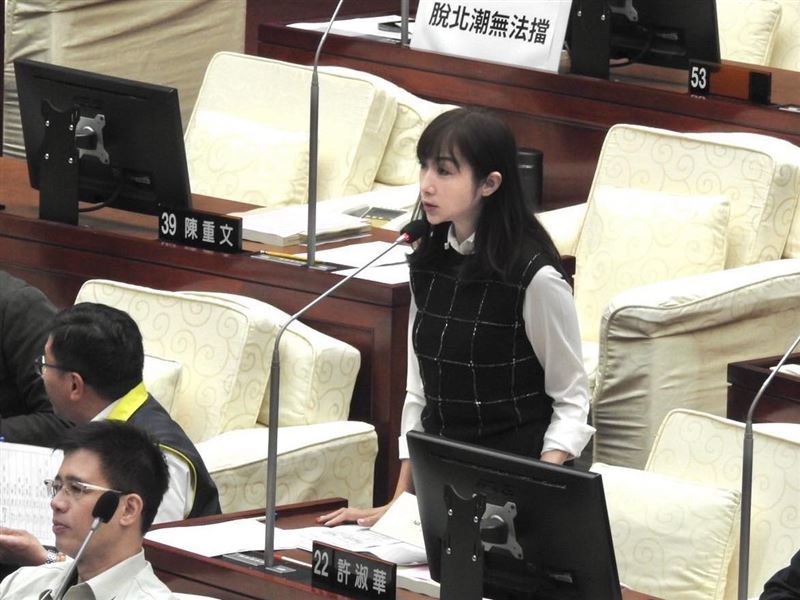 許淑華說京華城工地恐淪爛尾。（圖／翻攝自許淑華臉書）