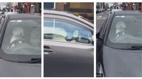 狗狗跳上駕駛座狂按喇叭，畫面在網路瘋傳。（圖／翻攝自X，@marcjushm）