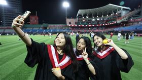 味全龍推出平日門票買1送1優惠。（圖／味全龍球團提供） 