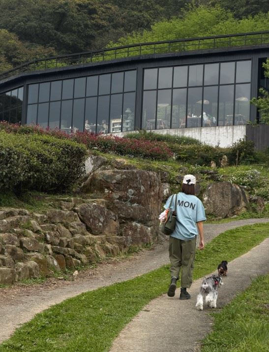 潘慧如分享，自己將在今年5月製作一檔新的實境節目，以培訓專業寵物照護員為節目主題。（圖／翻攝自潘慧如臉書）