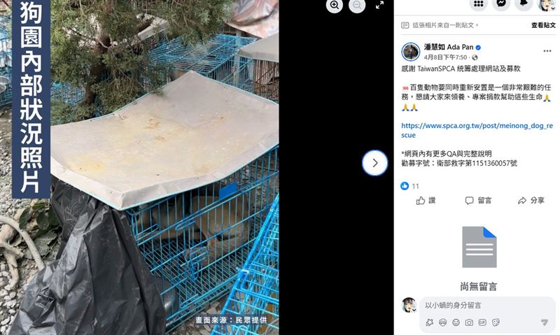 潘慧如直言，台灣的動物保護環境真的非常不可思議，也很讓人感到失望。（圖／翻攝自潘慧如臉書）