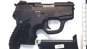 改槍師傅，重操舊業，改造槍，模擬槍，破門丟槍，藏草叢，遭警眼尖搜出(圖／翻攝畫面)