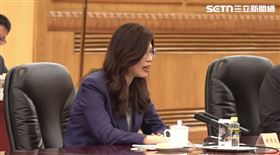 鄭習會，鄭麗文談話（圖／翻攝畫面）