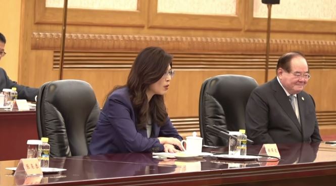 鄭習會登場，鄭麗文發表談話（圖／翻攝畫面）