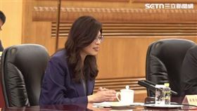 鄭麗文在鄭習會發表談話（圖／翻攝畫面）