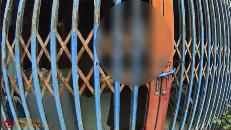 花蓮楊婦突然情緒失控，持2把菜刀企圖攻擊警消人員，遭警方噴辣椒水壓制逮捕。（圖／翻攝畫面）