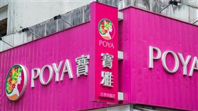 寶雅(記者陳弋攝影)