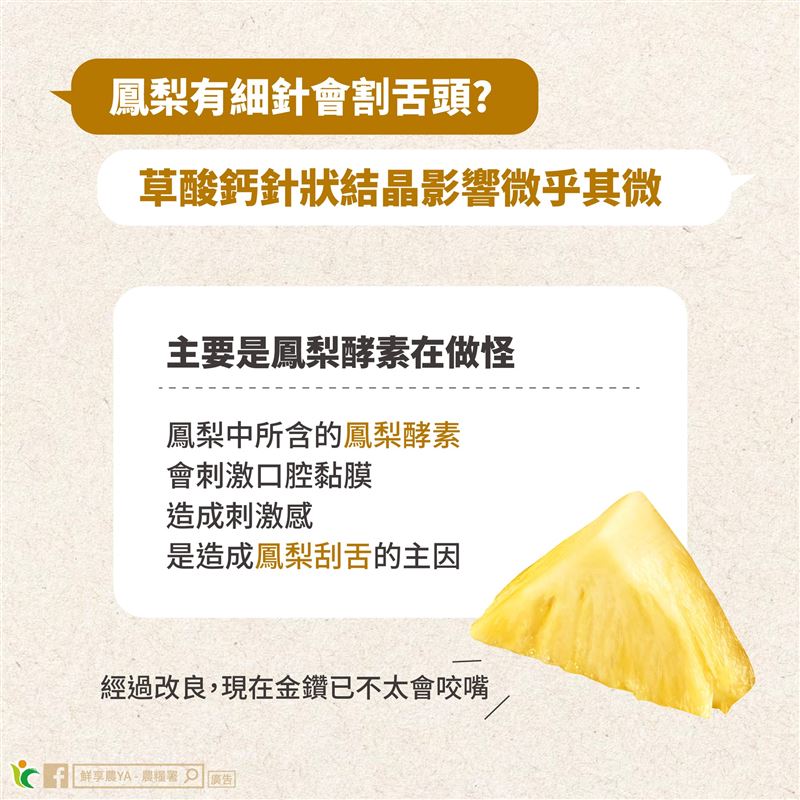 「鳳梨酵素」會稍微刺激口腔黏膜,才會導致刮舌的錯覺。(圖/翻攝自農糧署網站)