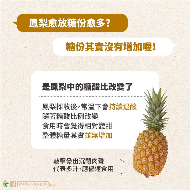 鳳梨放越久越甜?農糧署直接解答,鳳梨採收後「糖分絕對不會再增加」!(圖/翻攝自農糧署網站)
