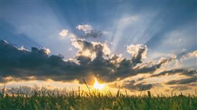 清水孟國際塔羅篠安老師分享12星座4月12日至18日的運勢。（示意圖／unsplash）